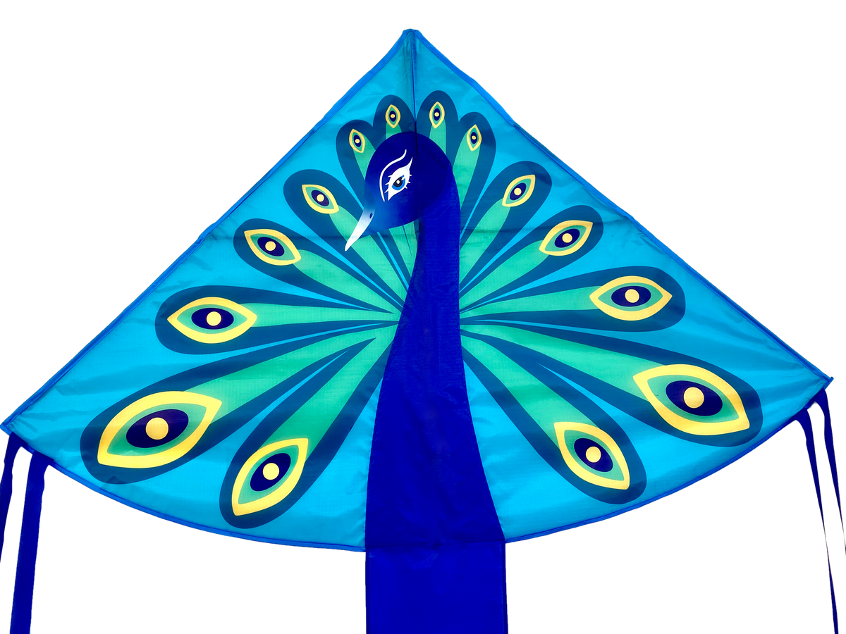 High as a Kite Peacock Kite The Play Room