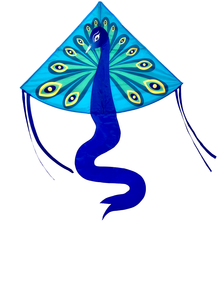 High as a Kite Peacock Kite The Play Room