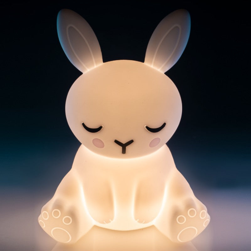 Led silicone store night light