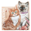 TOPModel - Colour Kitty Shape