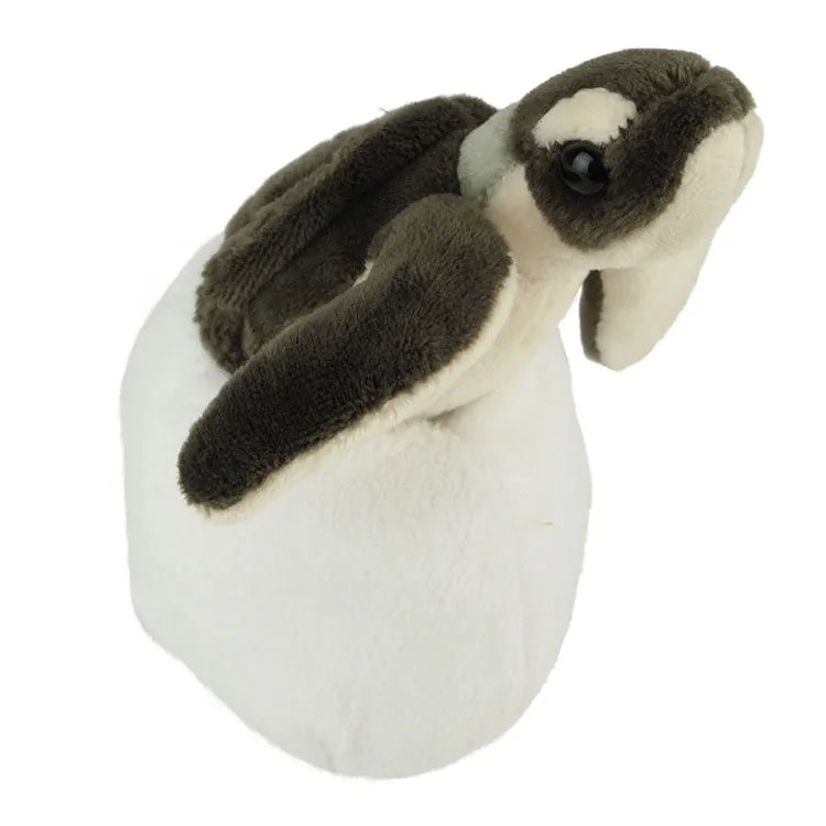 Wild Republic - Hatchling Green Sea Turtle