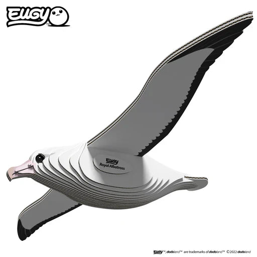 EUGY - Royal Albatross