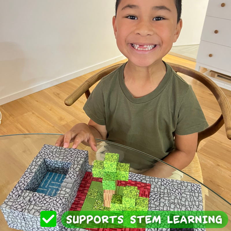 Miniblox - Building 100pc set