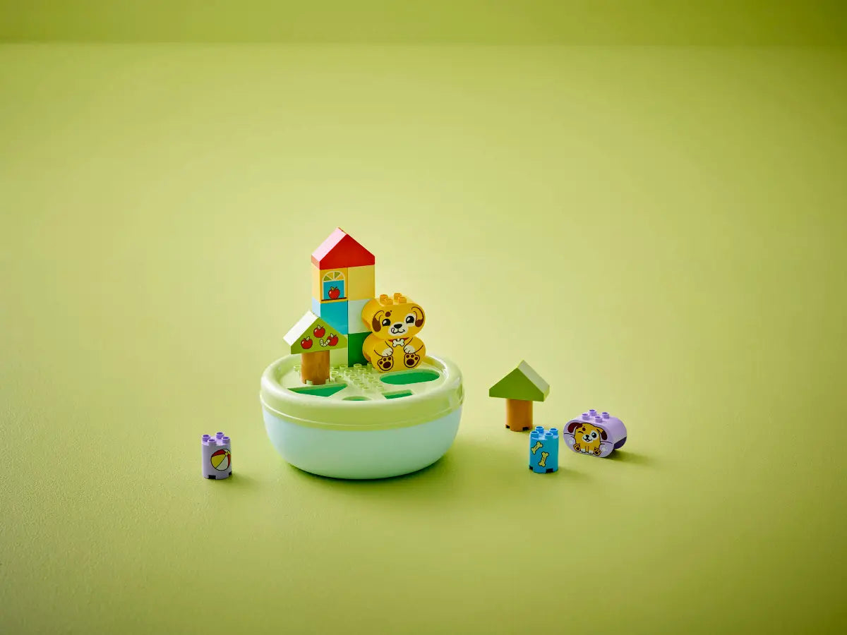 LEGO - Duplo Shape Sorter Puppy House 10441