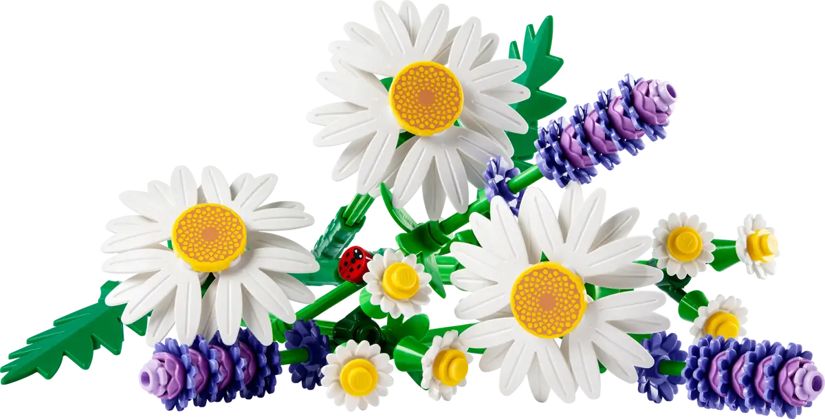 LEGO - Botanicals Daisies 11508