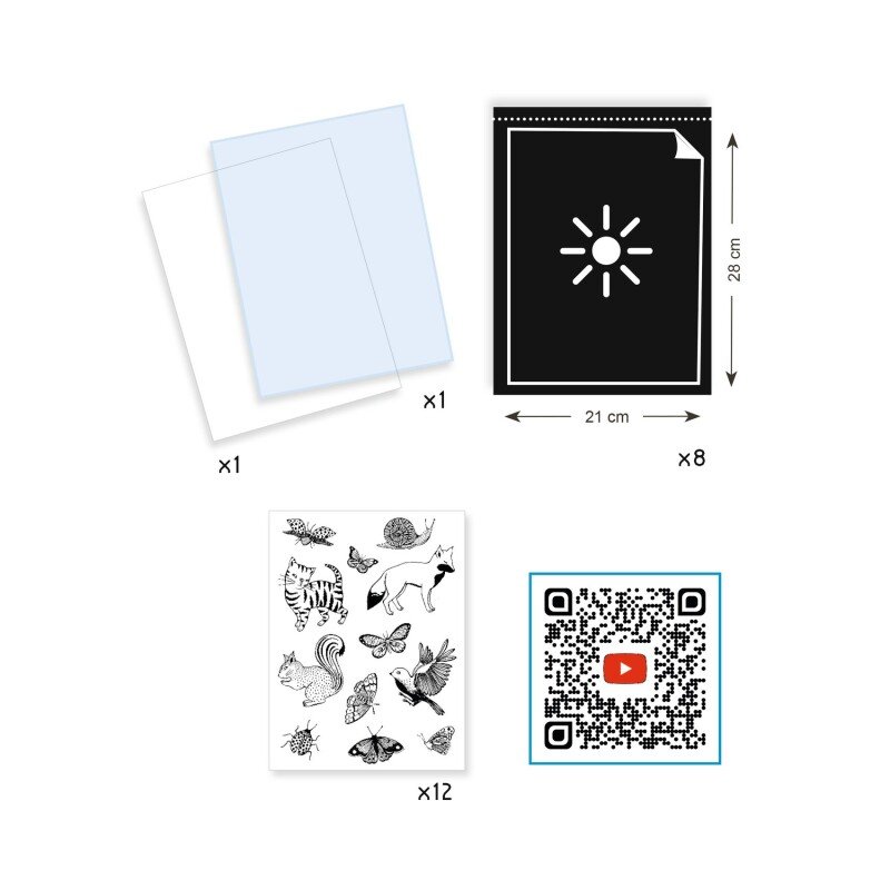 Djeco - Cyanotype Starter Kit