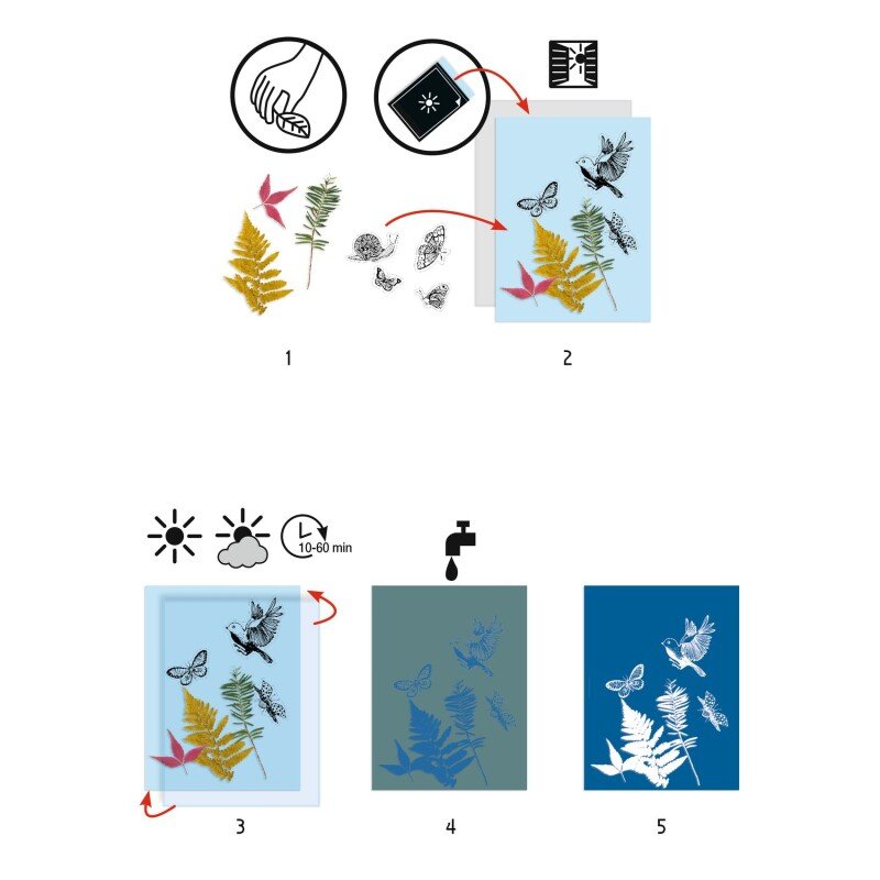 Djeco - Cyanotype Starter Kit
