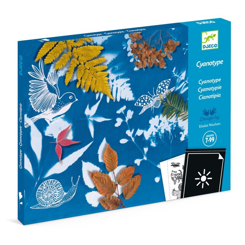 Djeco - Cyanotype Starter Kit