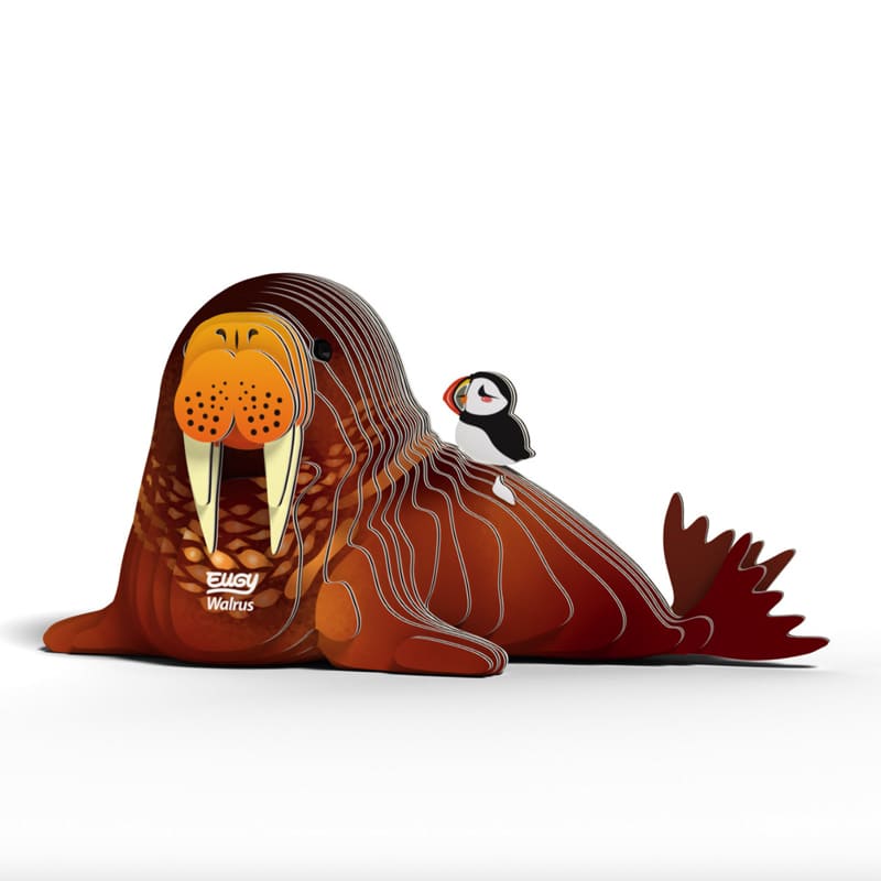 EUGY - Walrus