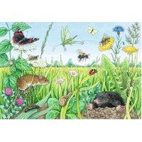Ravensburger - 2x12pc Animals in the Forest & Meadow Puzzle