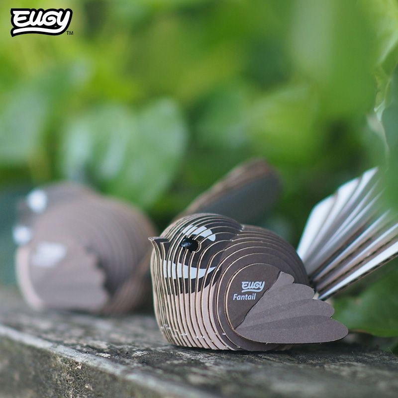 EUGY - Fantail