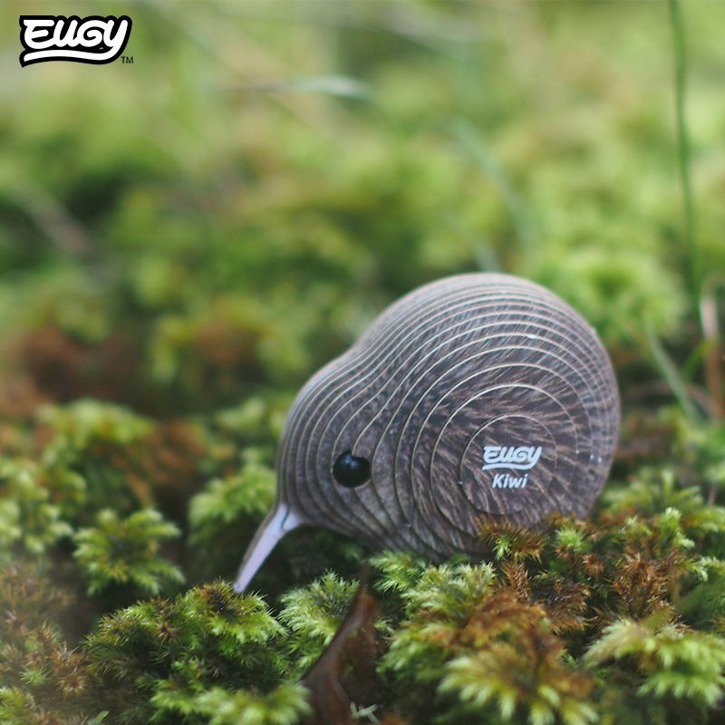 EUGY - Kiwi