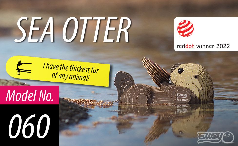 EUGY - Sea Otter