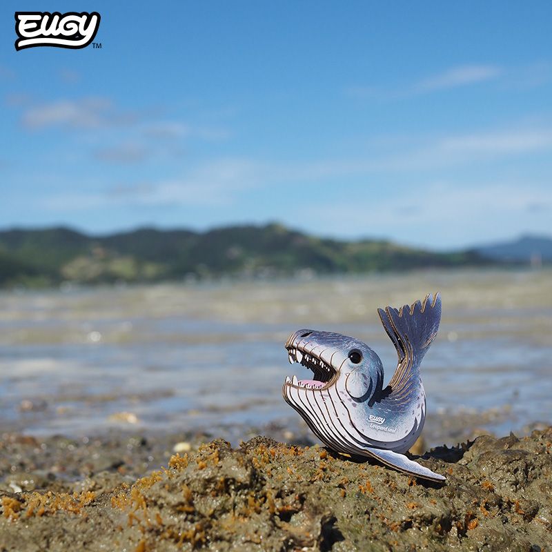EUGY - Leopard Seal