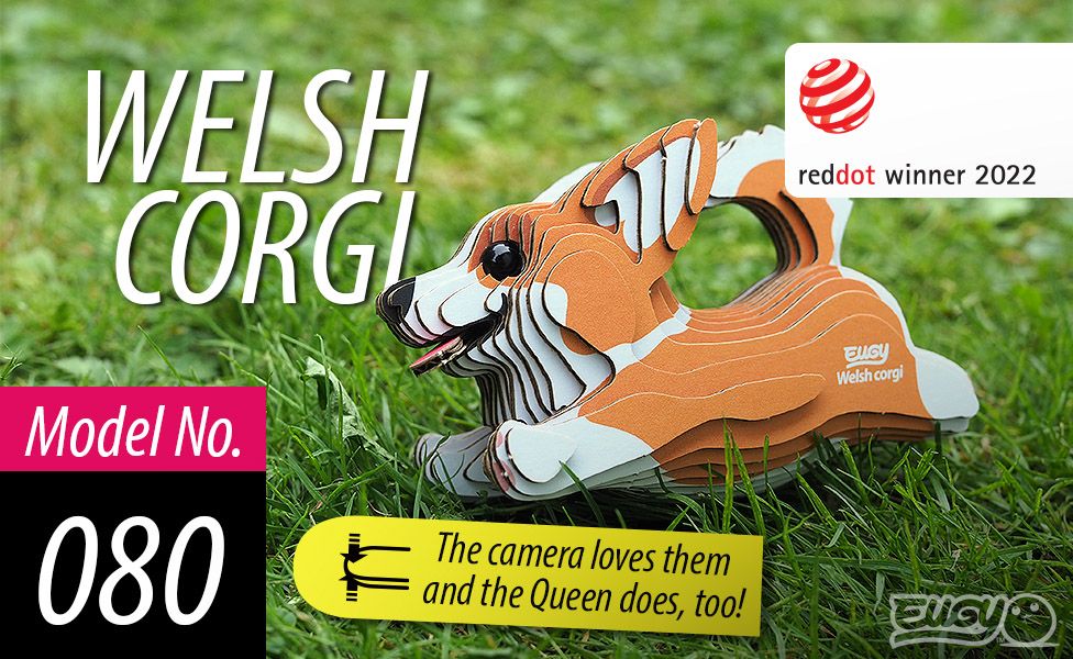 EUGY - Welsh Corgi