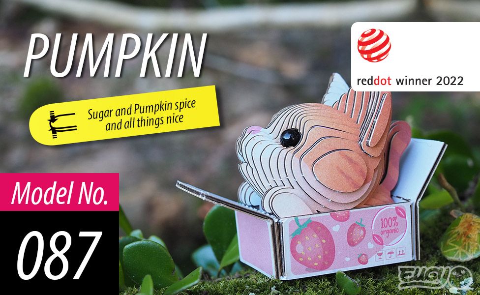 EUGY - Pumpkin Cat