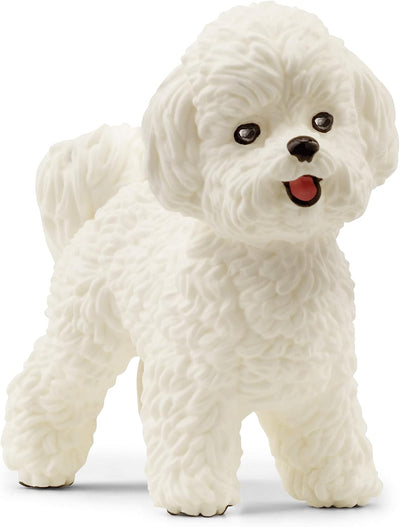 Schleich - Bichon Frise