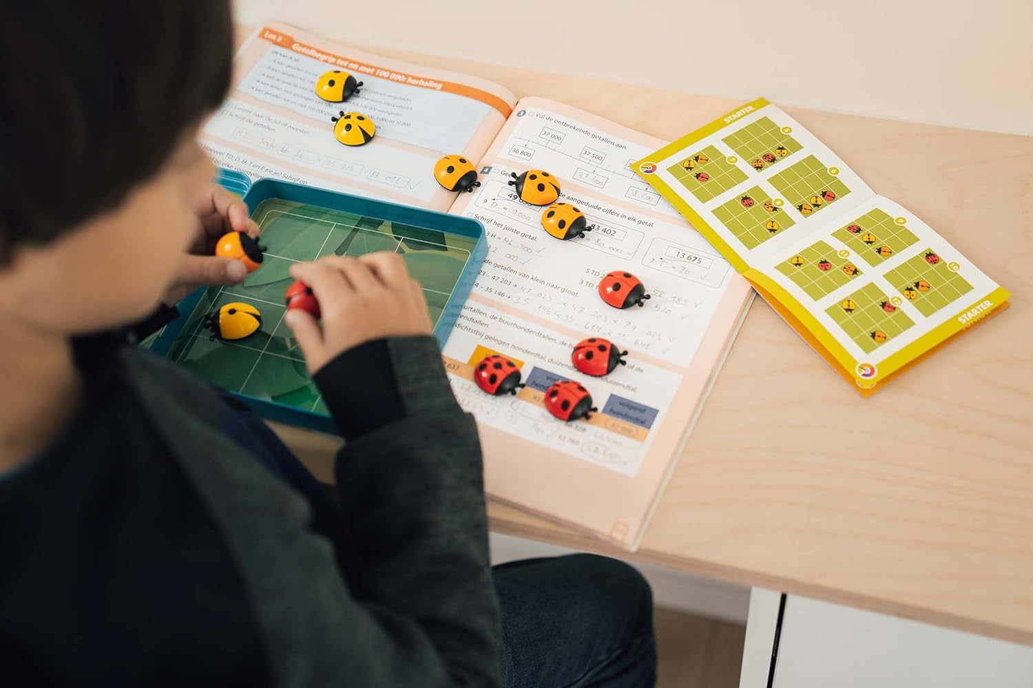 Smart Games - Logi Bugs