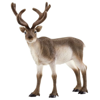 Schleich - Reindeer