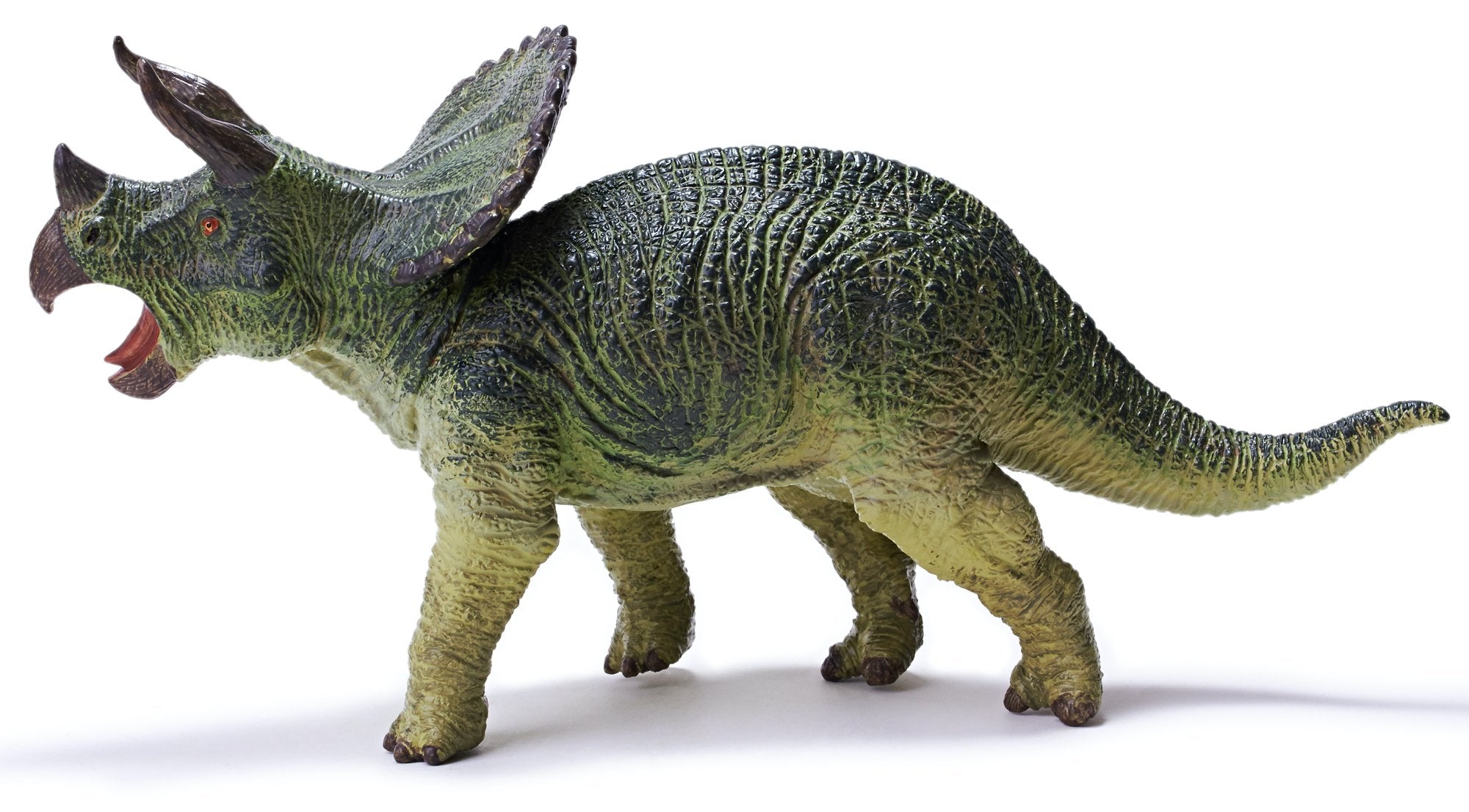 Science & Nature - Triceratops