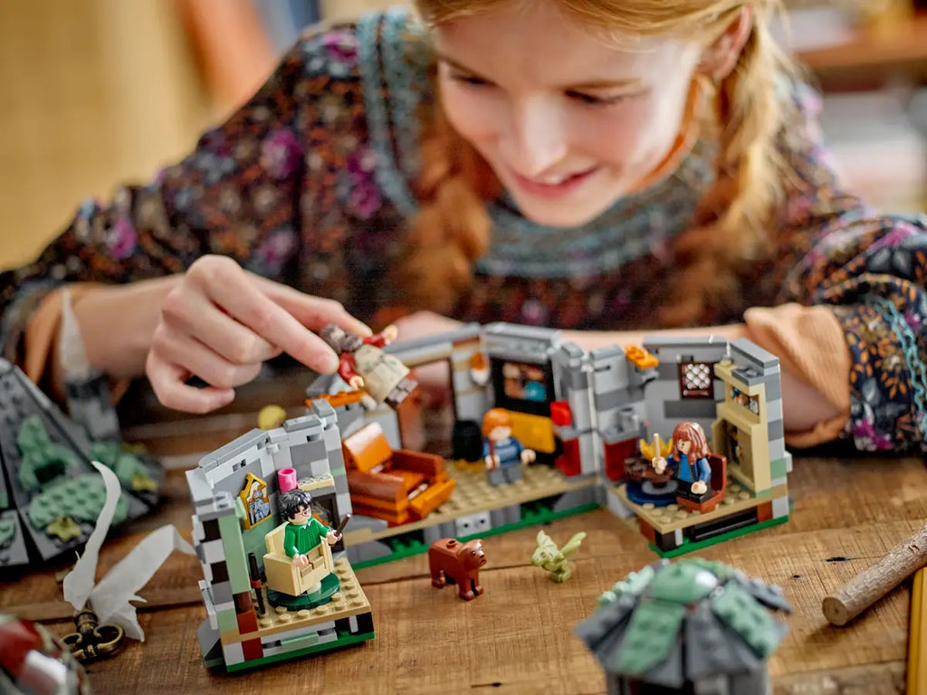 LEGO - Harry Potter Hagrids Hut: An Unexpected Visit 76428