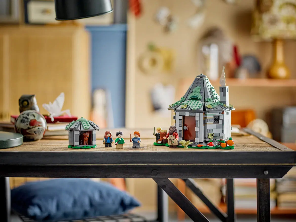 LEGO - Harry Potter Hagrids Hut: An Unexpected Visit 76428