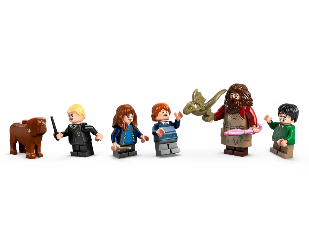 LEGO - Harry Potter Hagrids Hut: An Unexpected Visit 76428