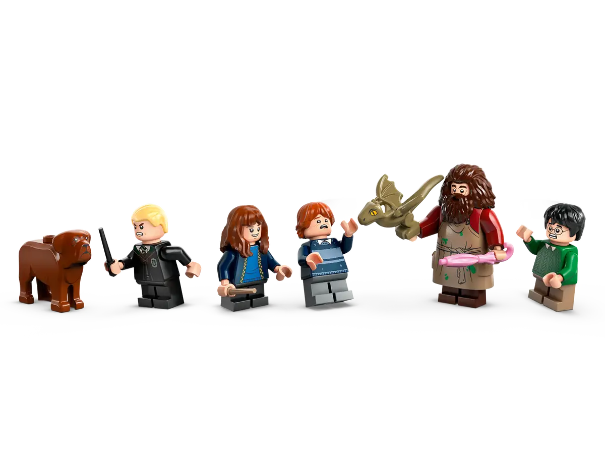 LEGO - Harry Potter Hagrids Hut: An Unexpected Visit 76428