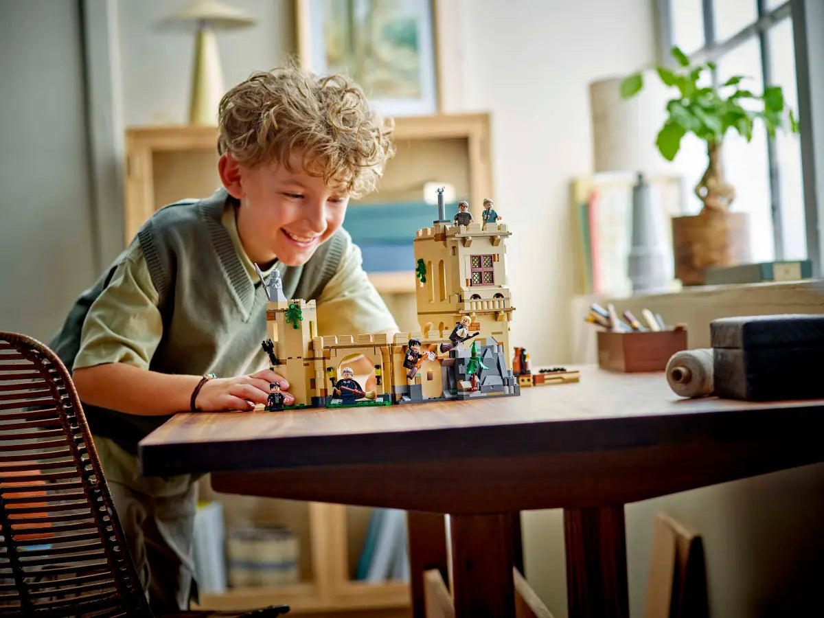LEGO - Harry Potter Hogwarts Castle: Flying Lessons 76447