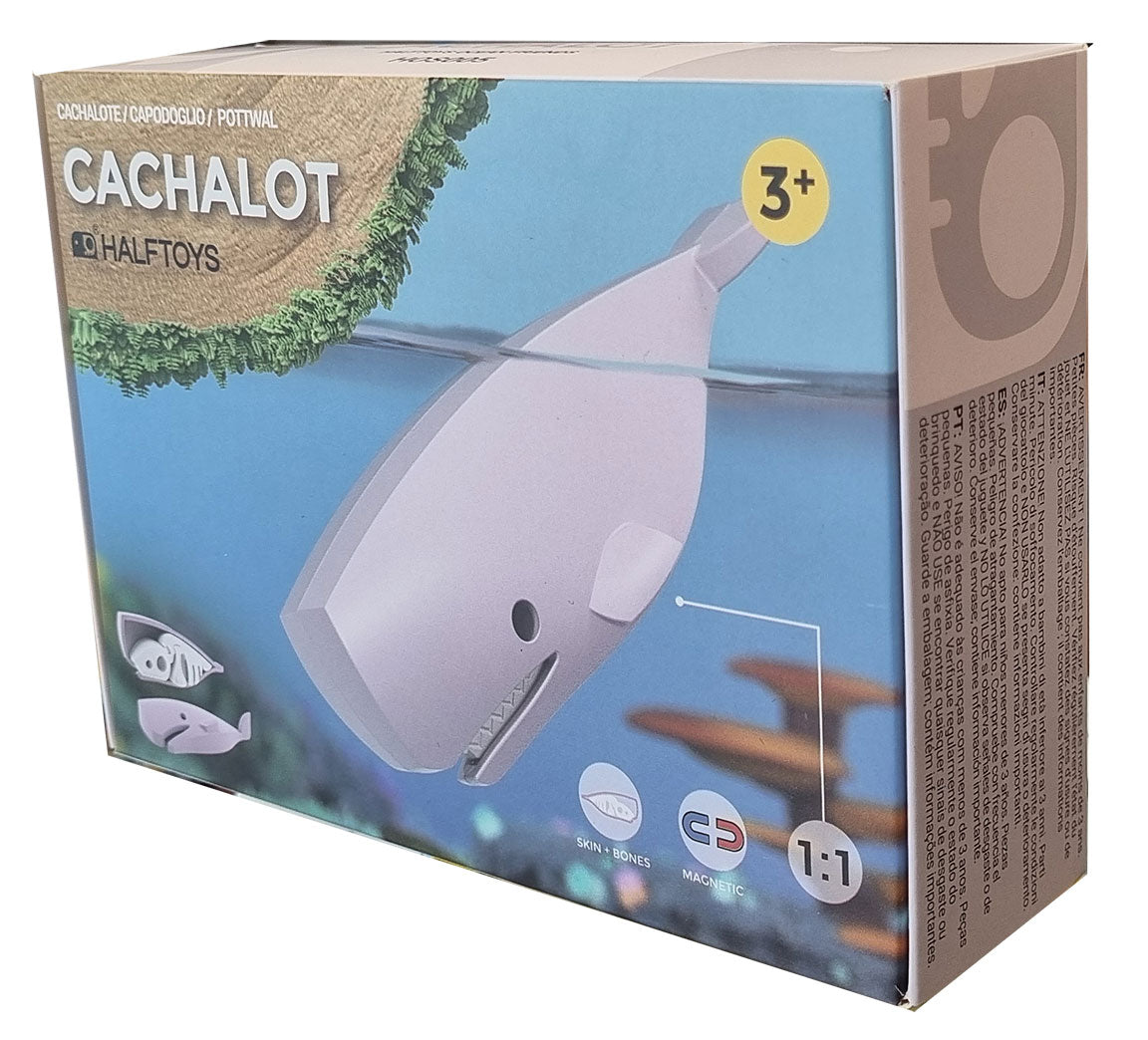 HALFTOYS - Ocean (Sperm Whale)