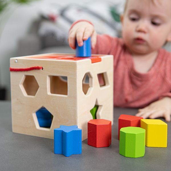 Fat Brain - Take Along Shape Sorter