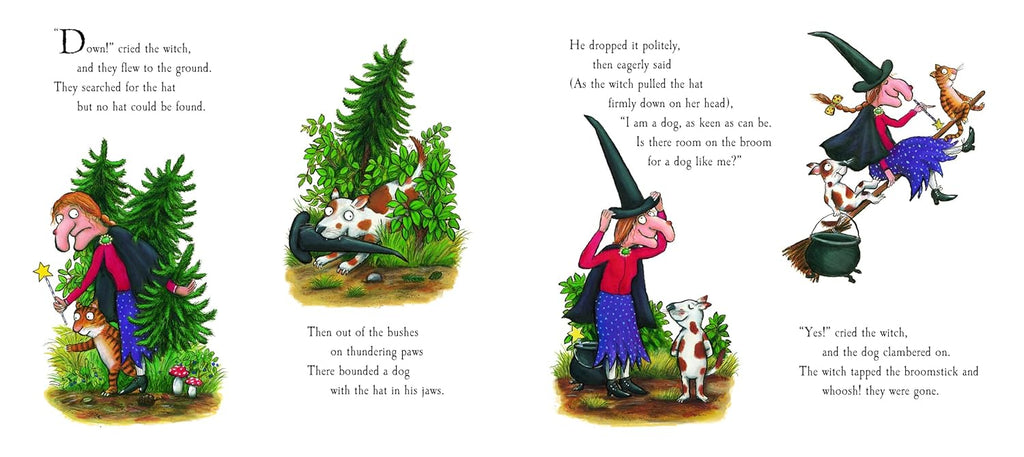 Room On The Broom Book