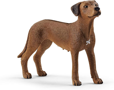 Schleich - Rhodesian Ridgeback