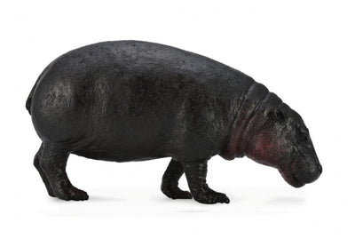 Collecta - Pygmy Hippopotamus