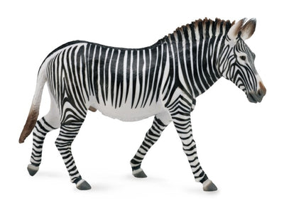 Collecta - Grevys Zebra