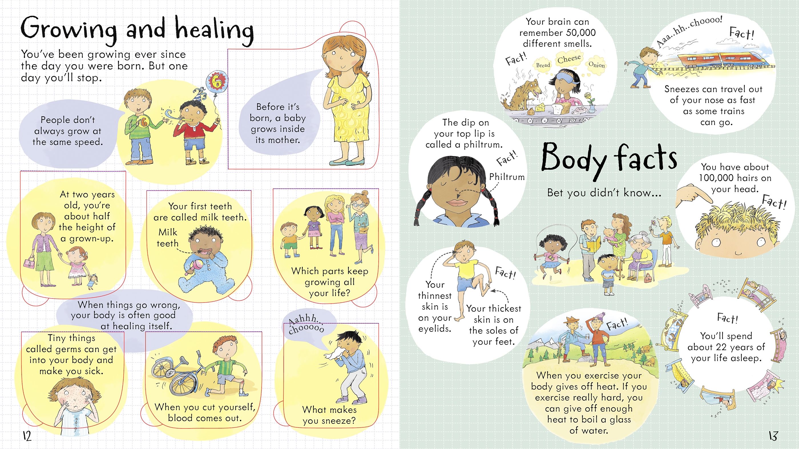 Usborne - Look Inside Your Body