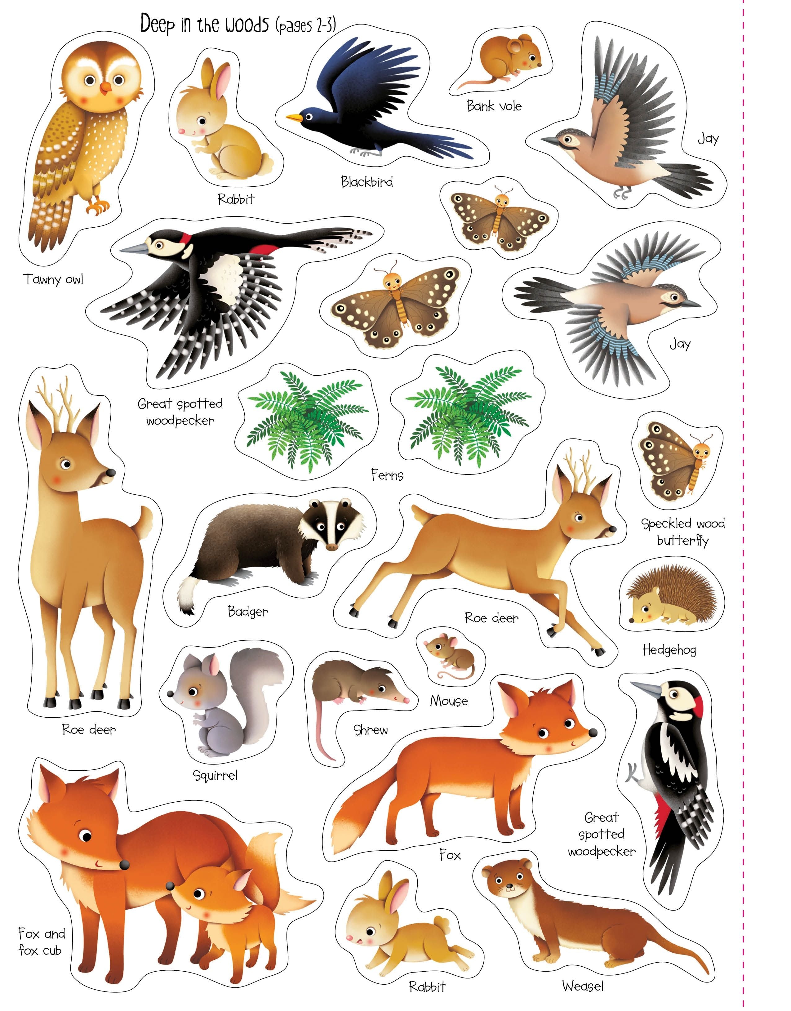 Usborne - First Sticker Book Nature Sticker book