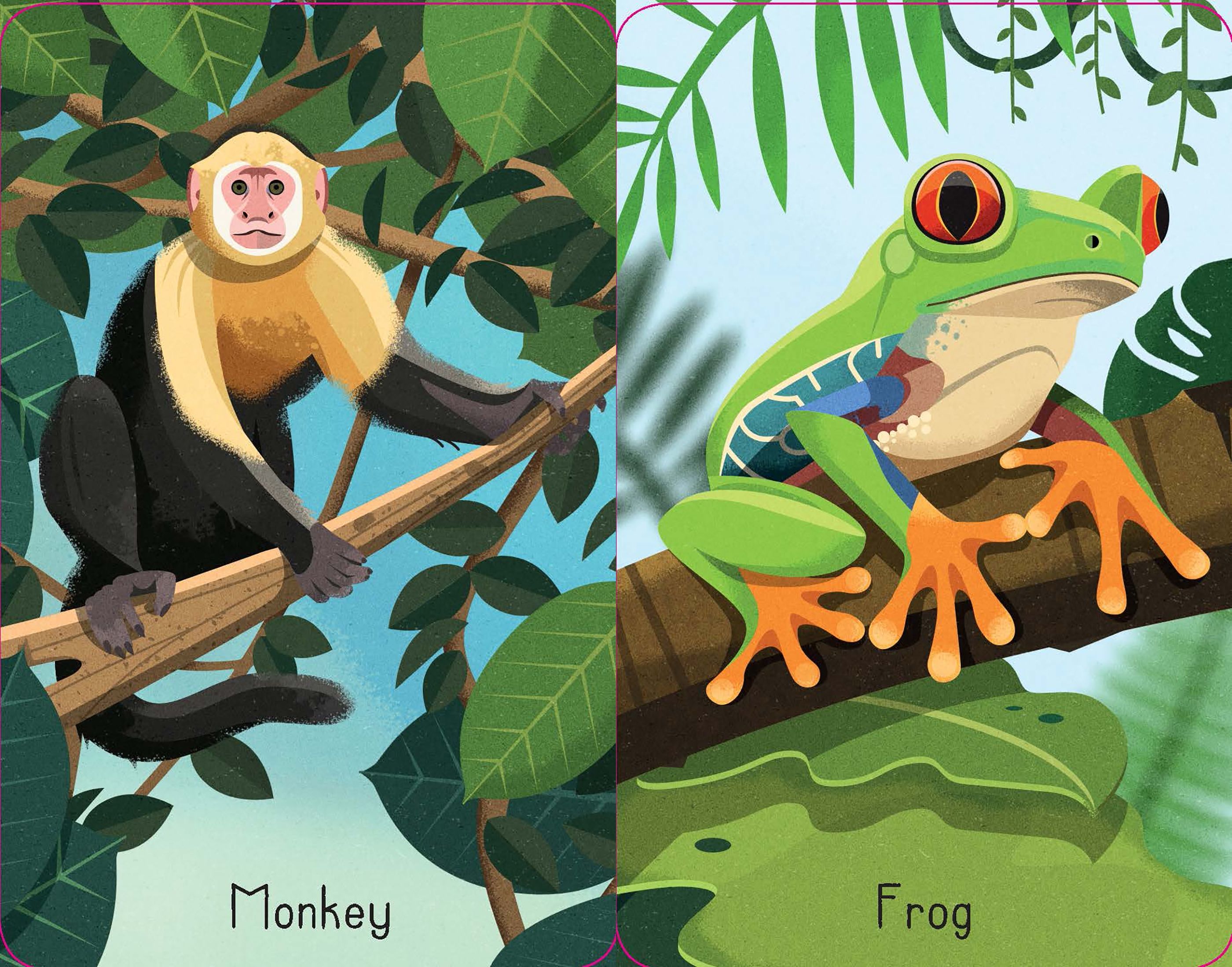 Usborne - Snap Cards - Jungle