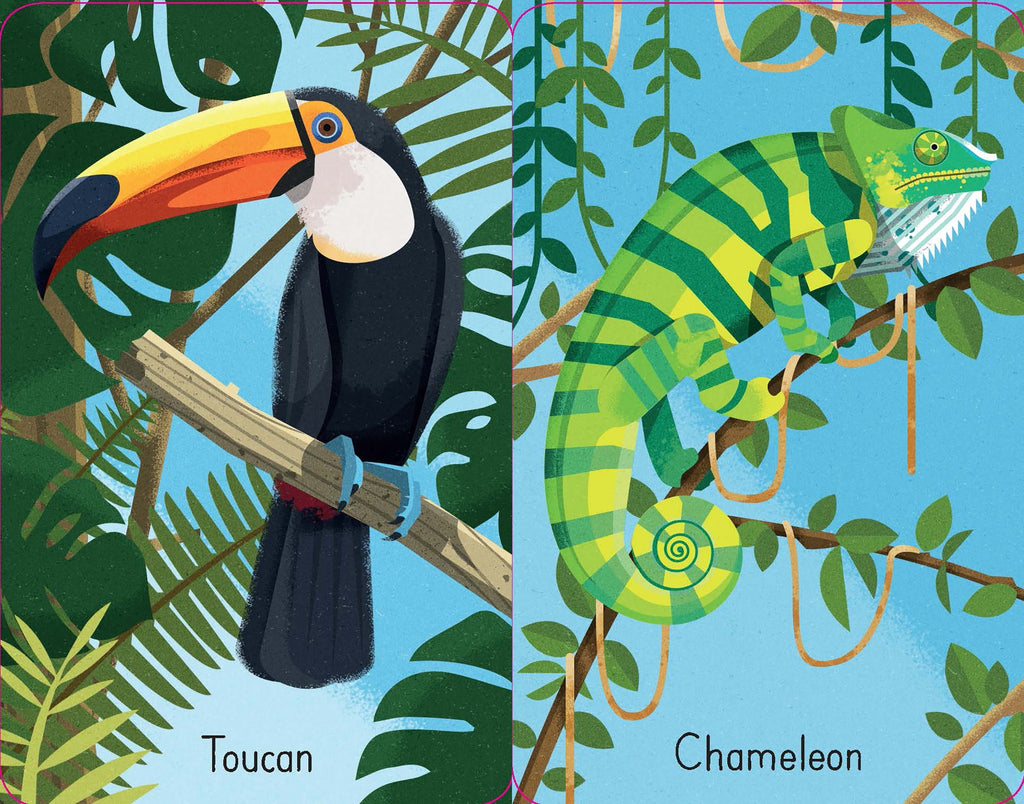 Usborne - Snap Cards - Jungle