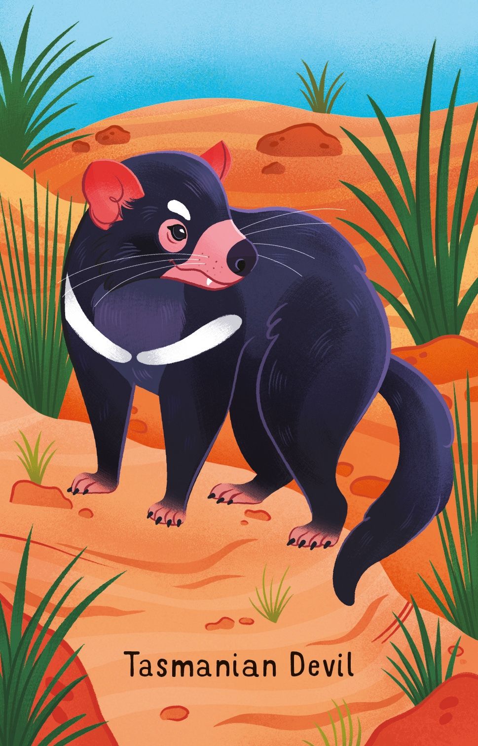Usborne - Snap Cards - Australian Animals
