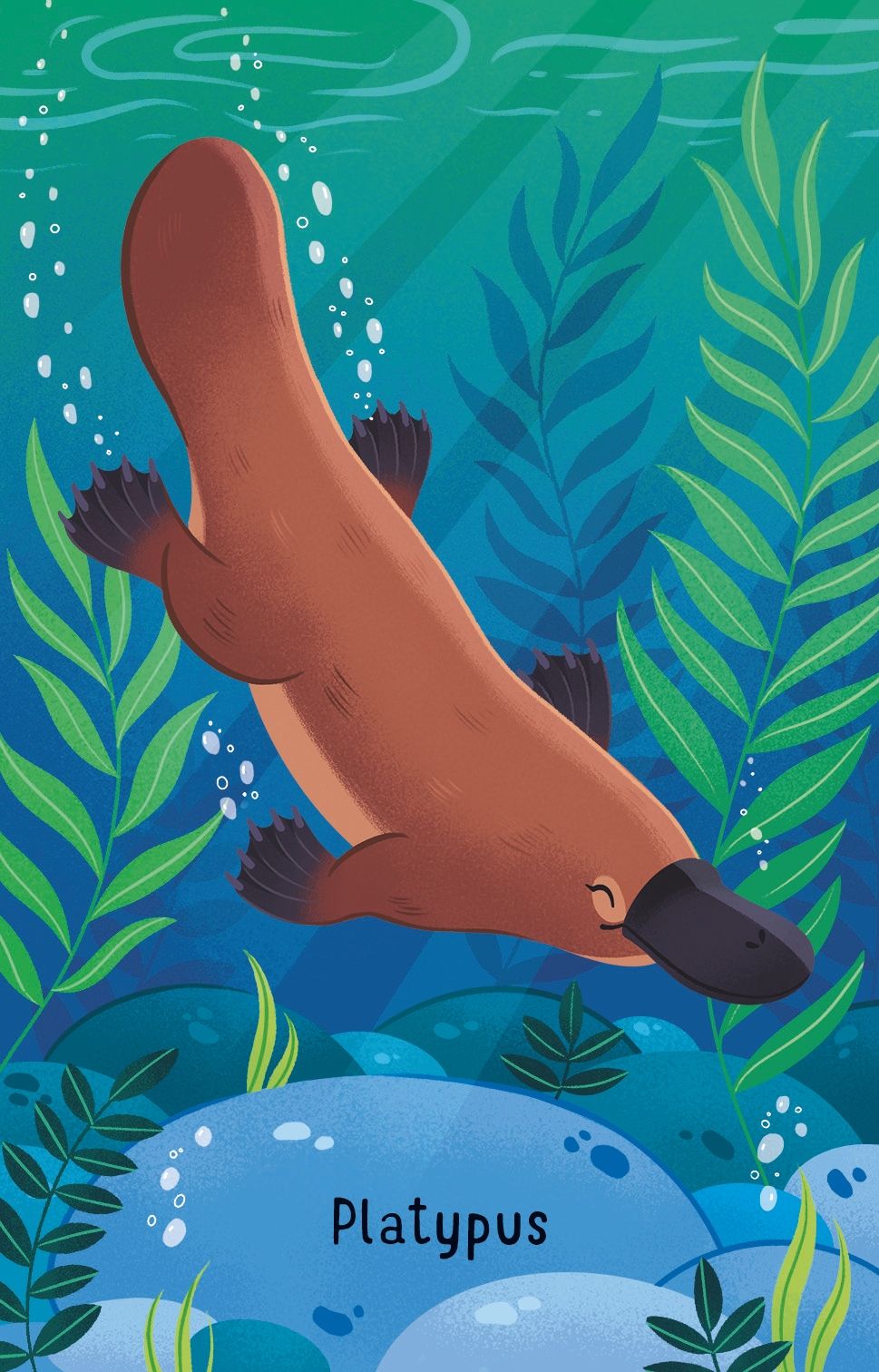 Usborne - Snap Cards - Australian Animals