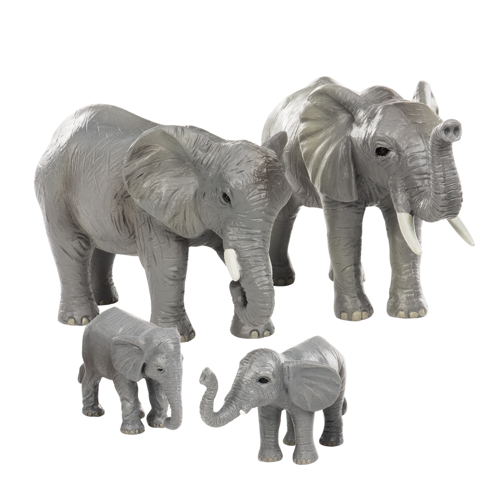 Terra - Elephant Family (4)