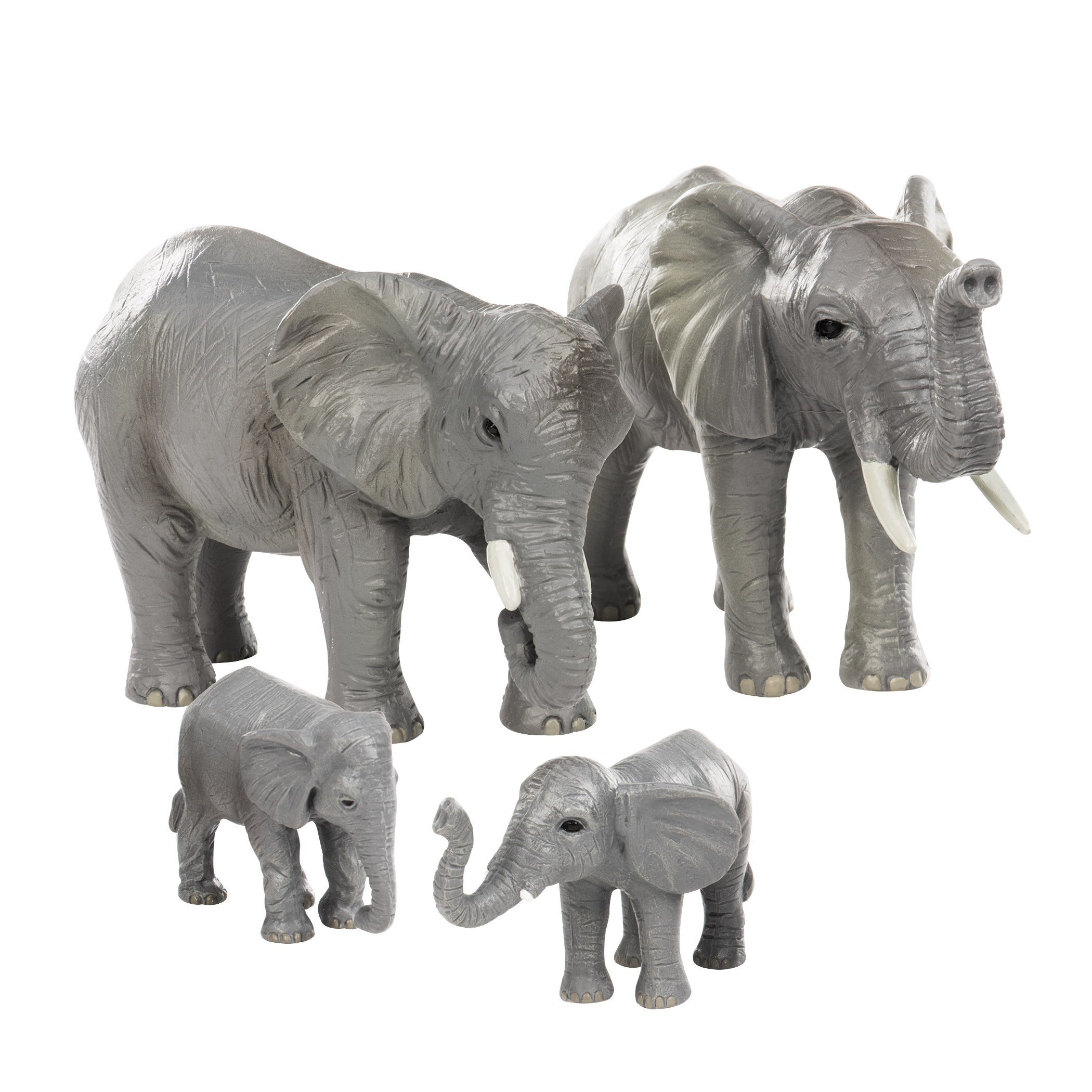 Terra - Elephant Family (4)
