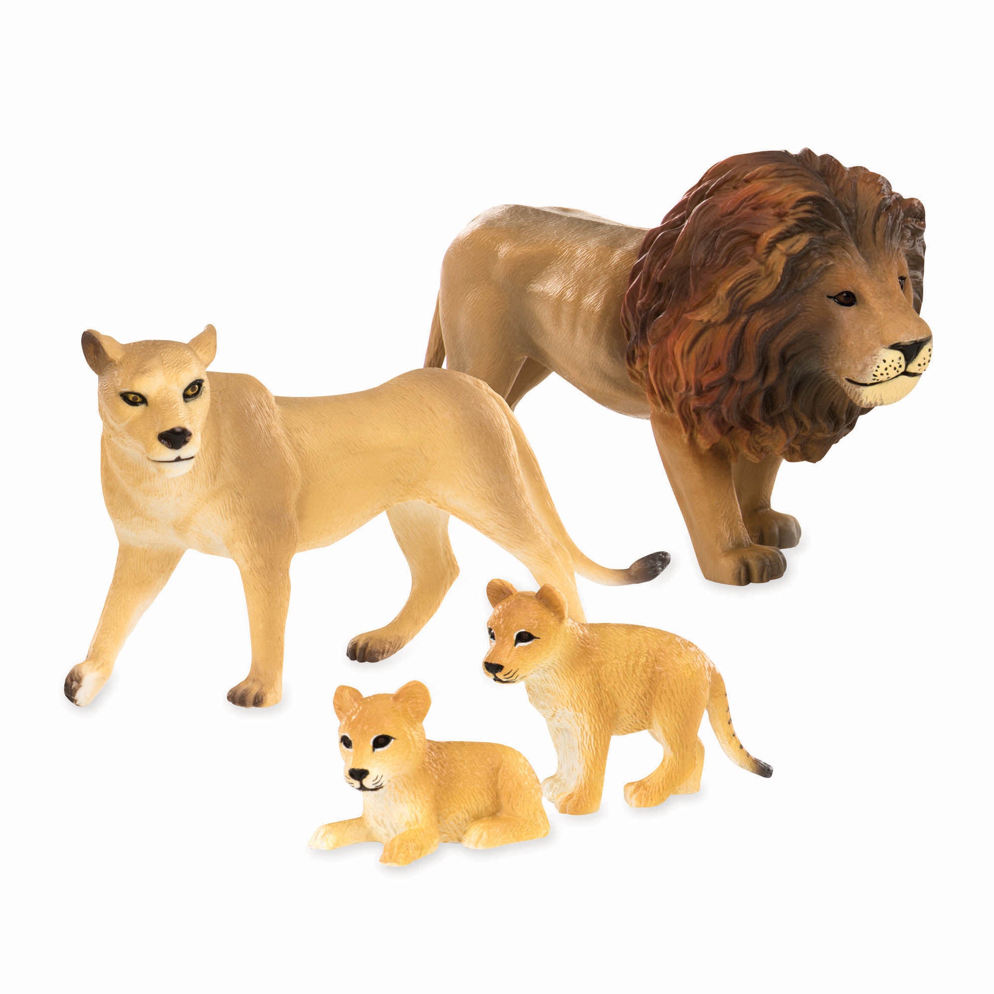 Terra - Family Set - Lion Family