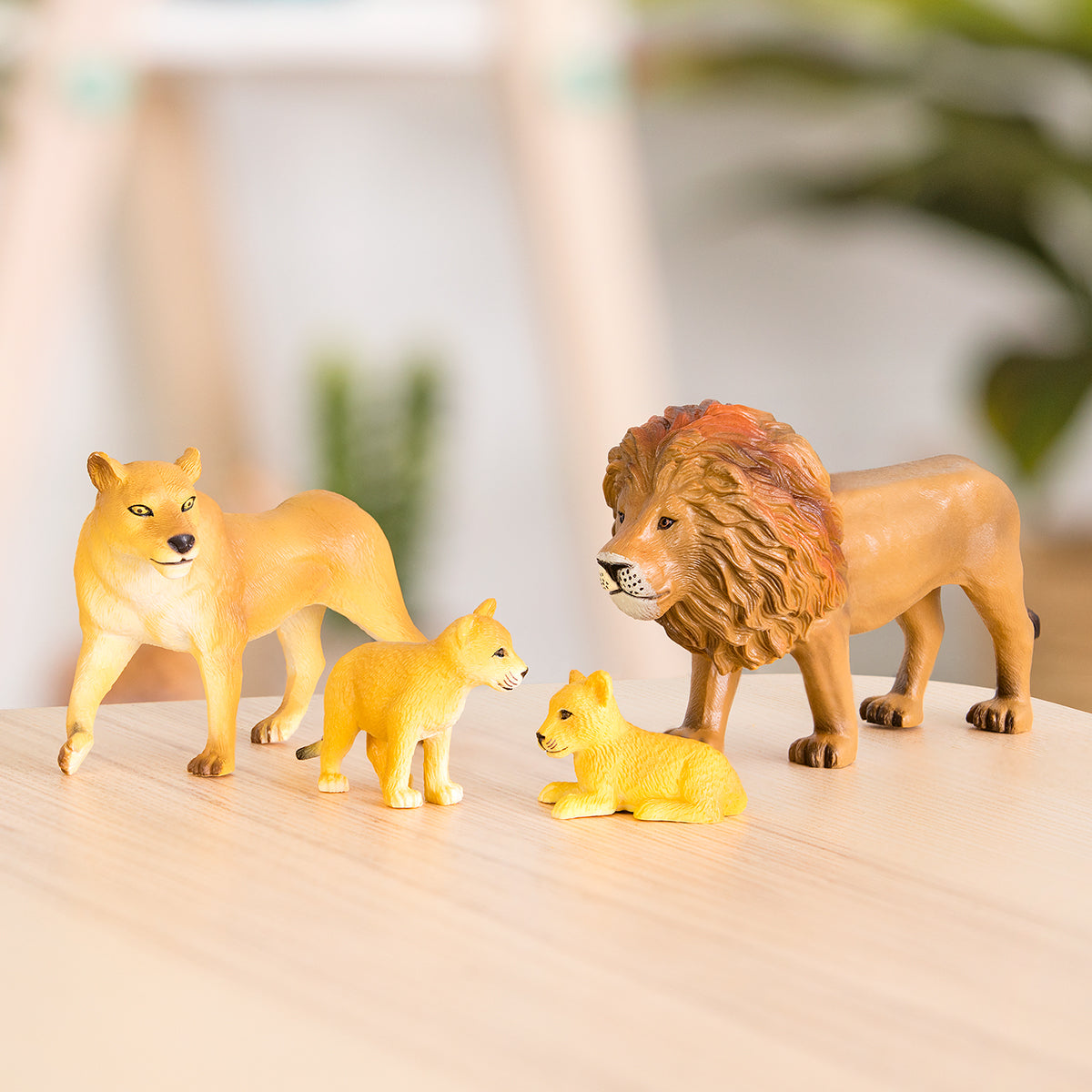 Terra - Family Set - Lion Family