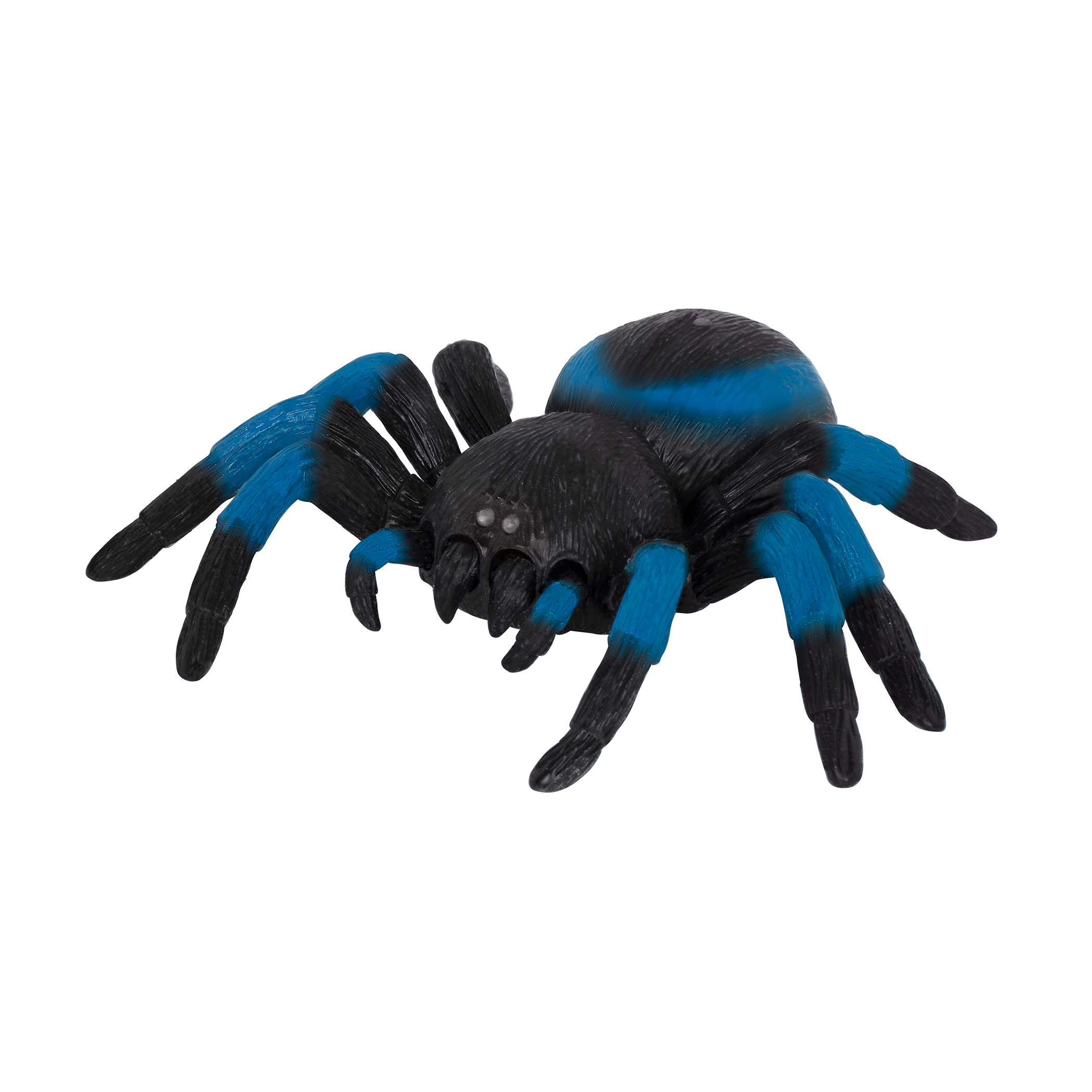 Terra - Remote Controlled Spider - Tarantula Blue