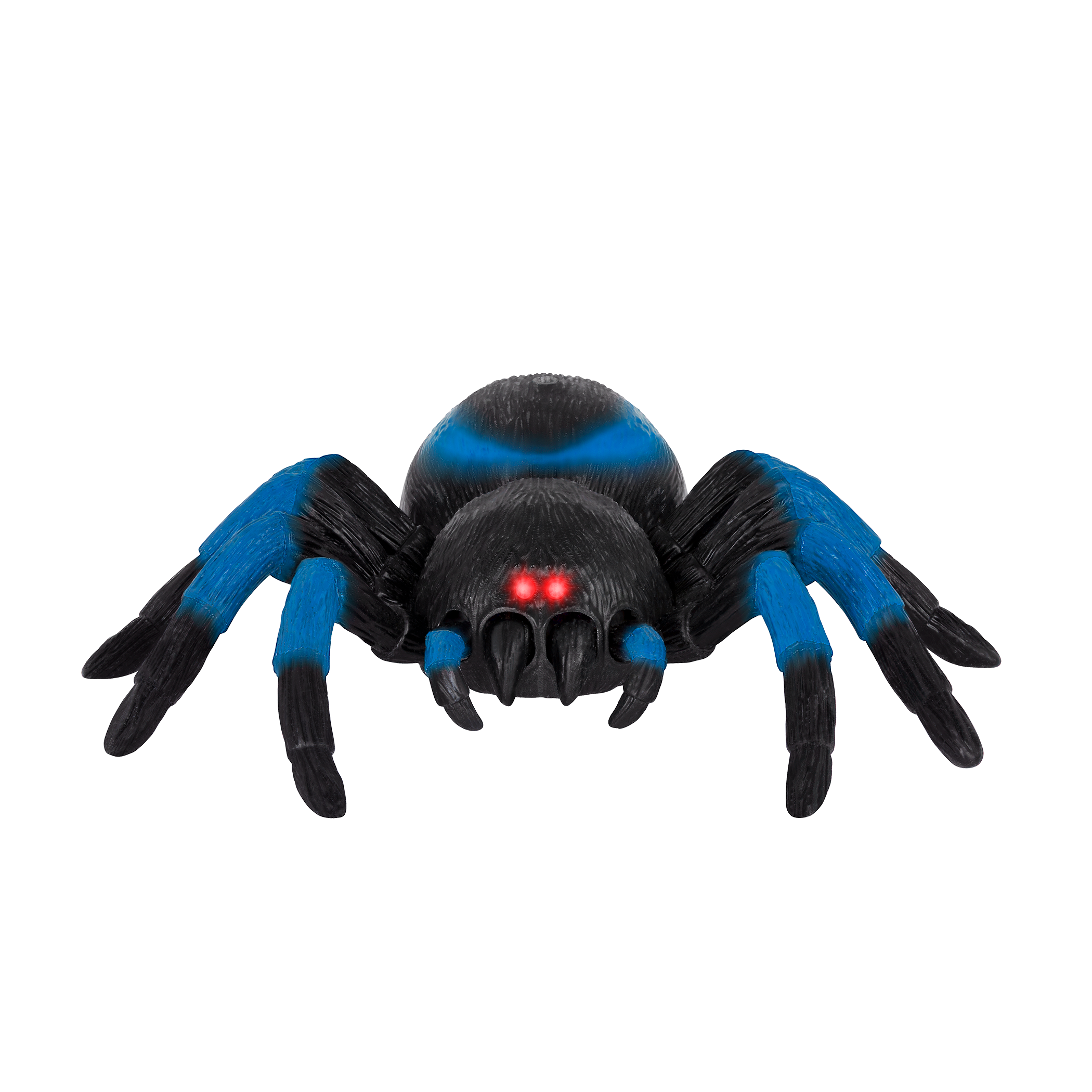 Terra - Remote Controlled Spider - Tarantula Blue