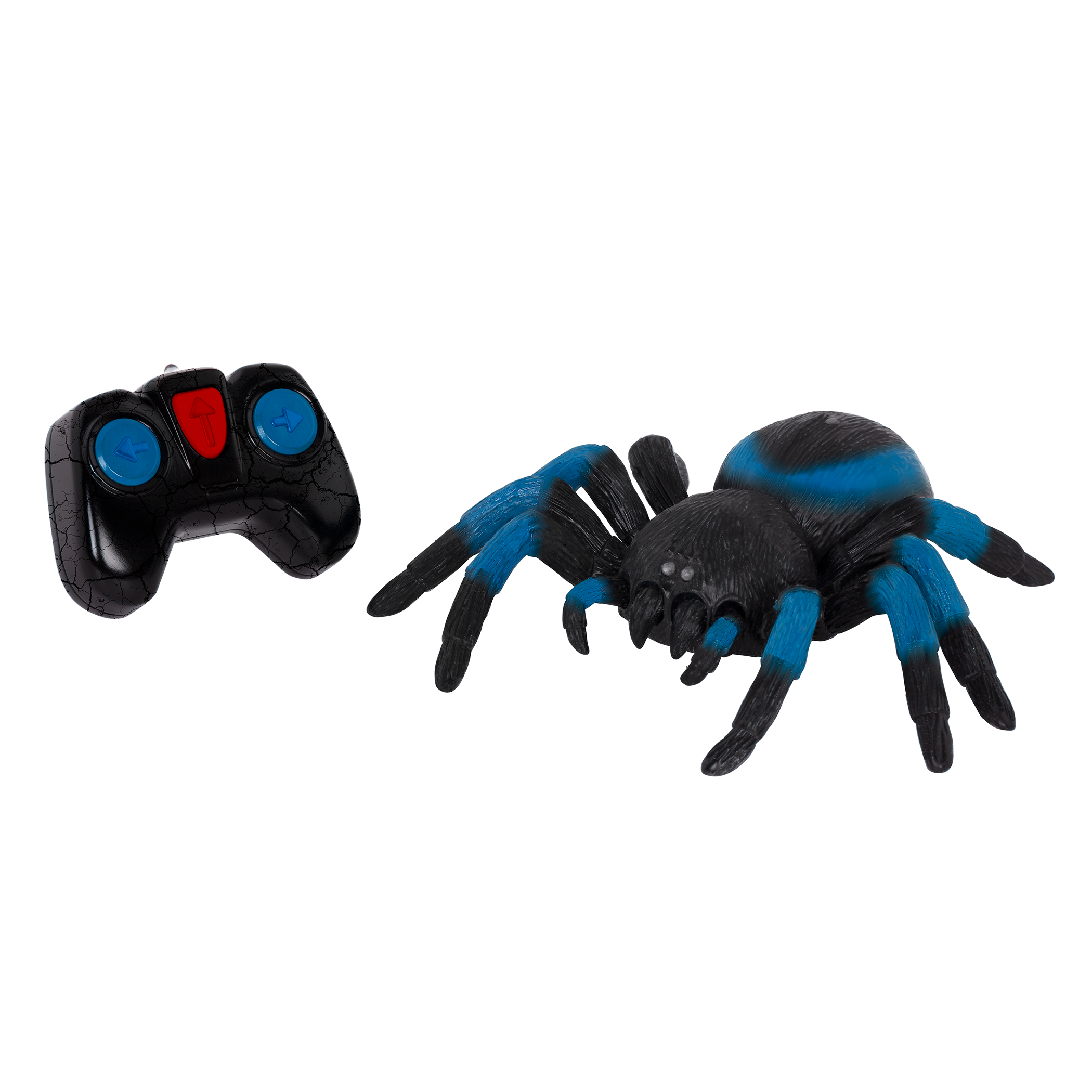 Terra - Remote Controlled - Spider Tarantula Blue