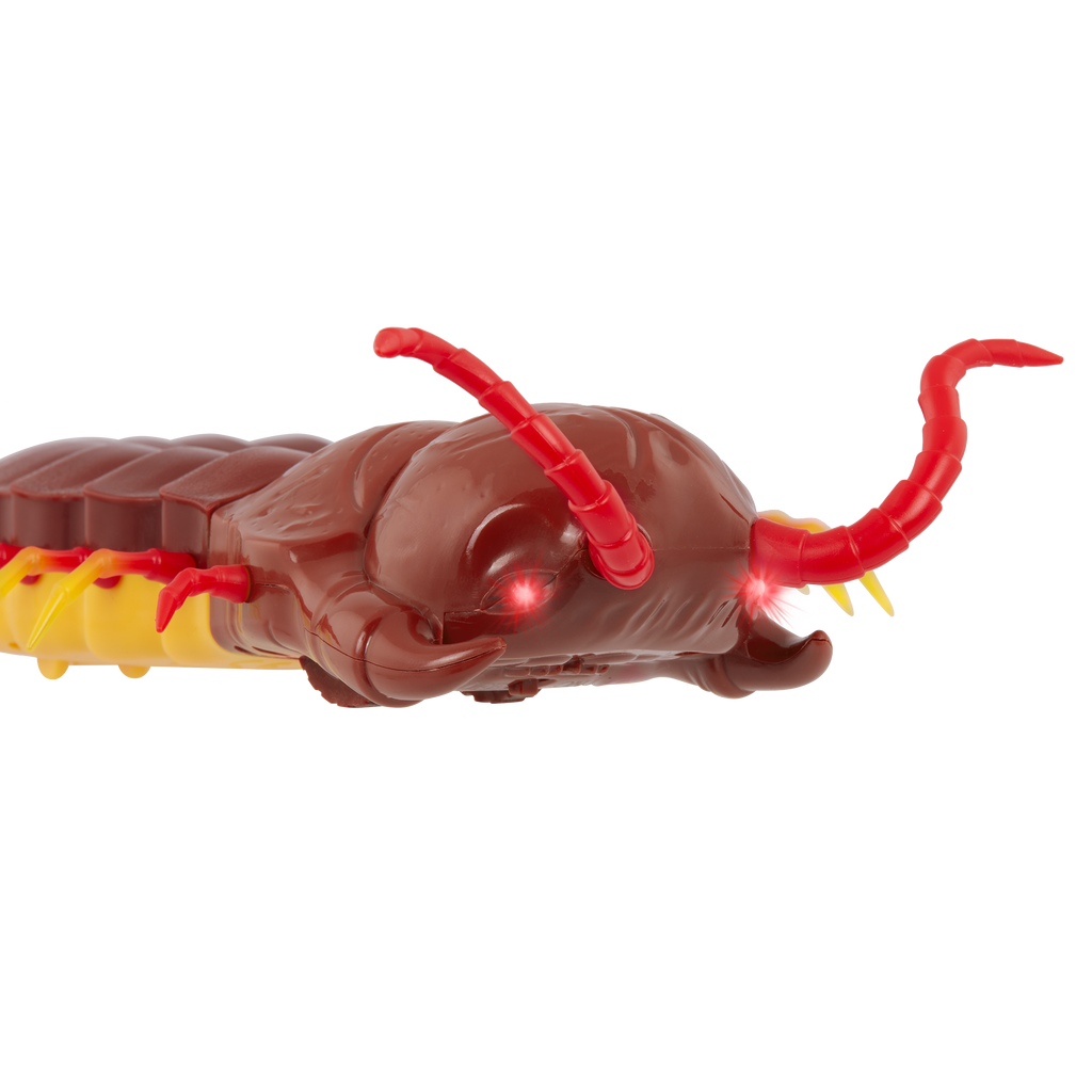 Terra - Remote Controlled Centipede - Giant Scolopendra