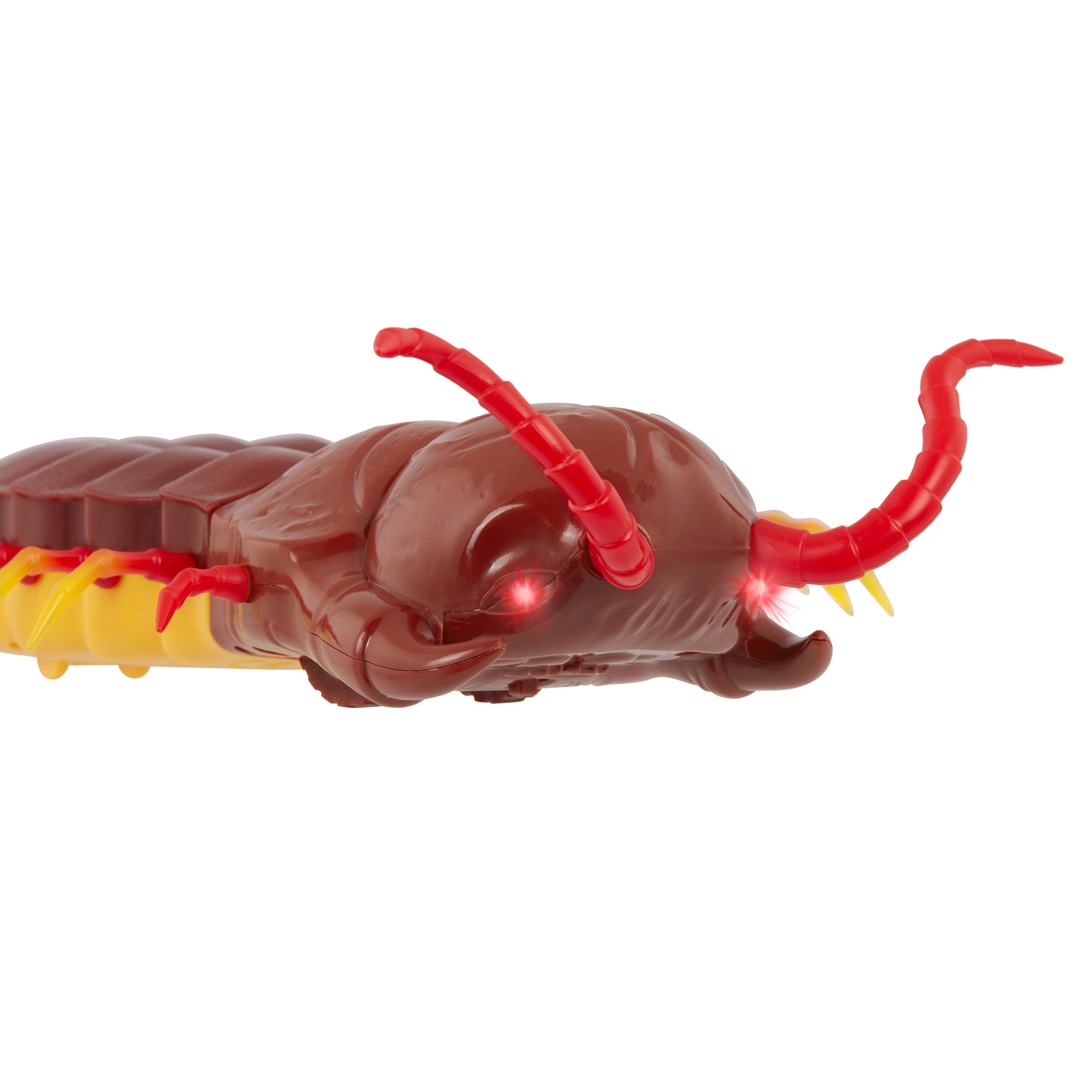 Terra - Remote Controlled Centipede - Giant Scolopendra
